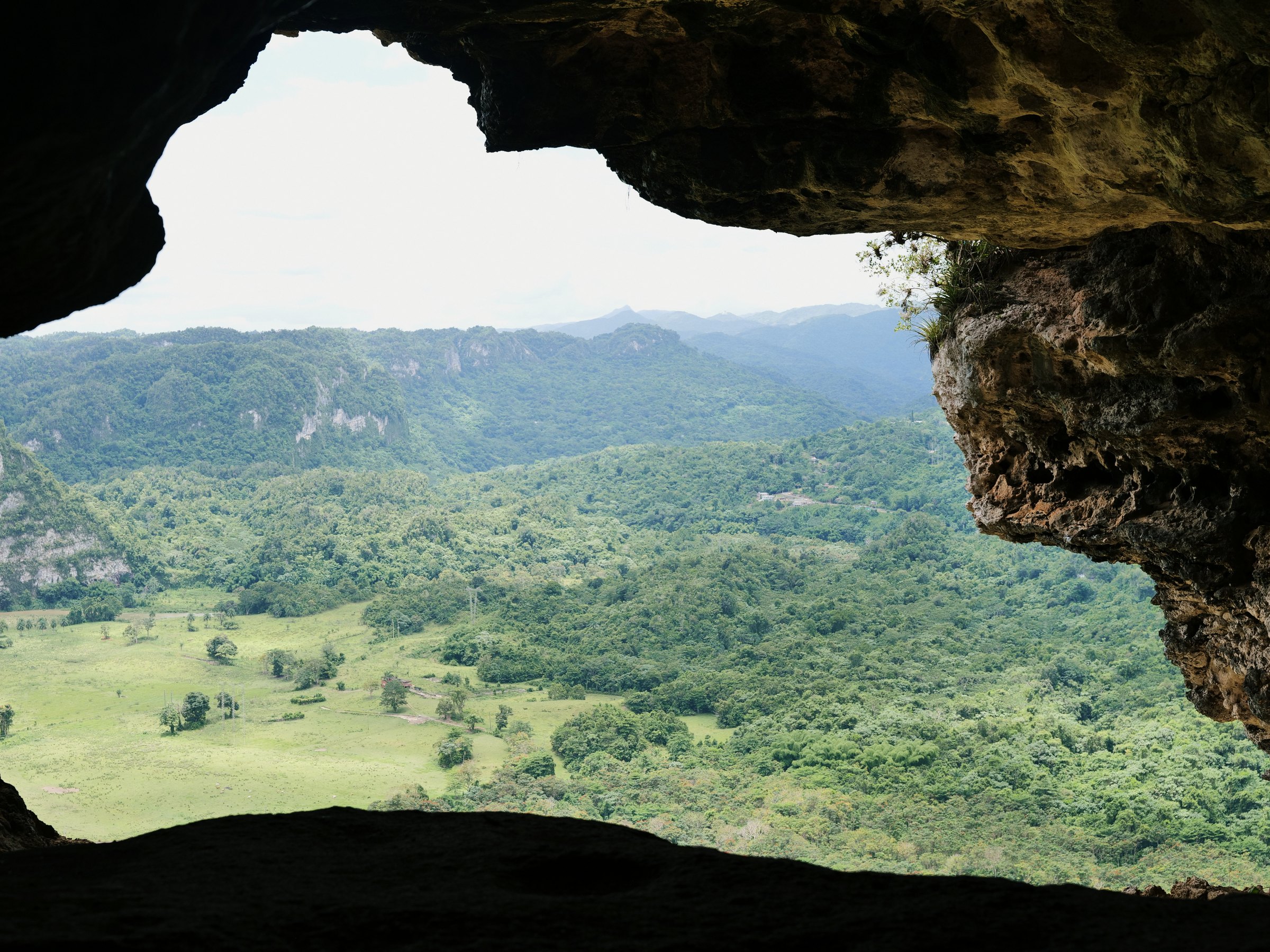Vista desde la Cueva Ventana sobre un valle verde y montañas en Arecibo, Puerto Rico