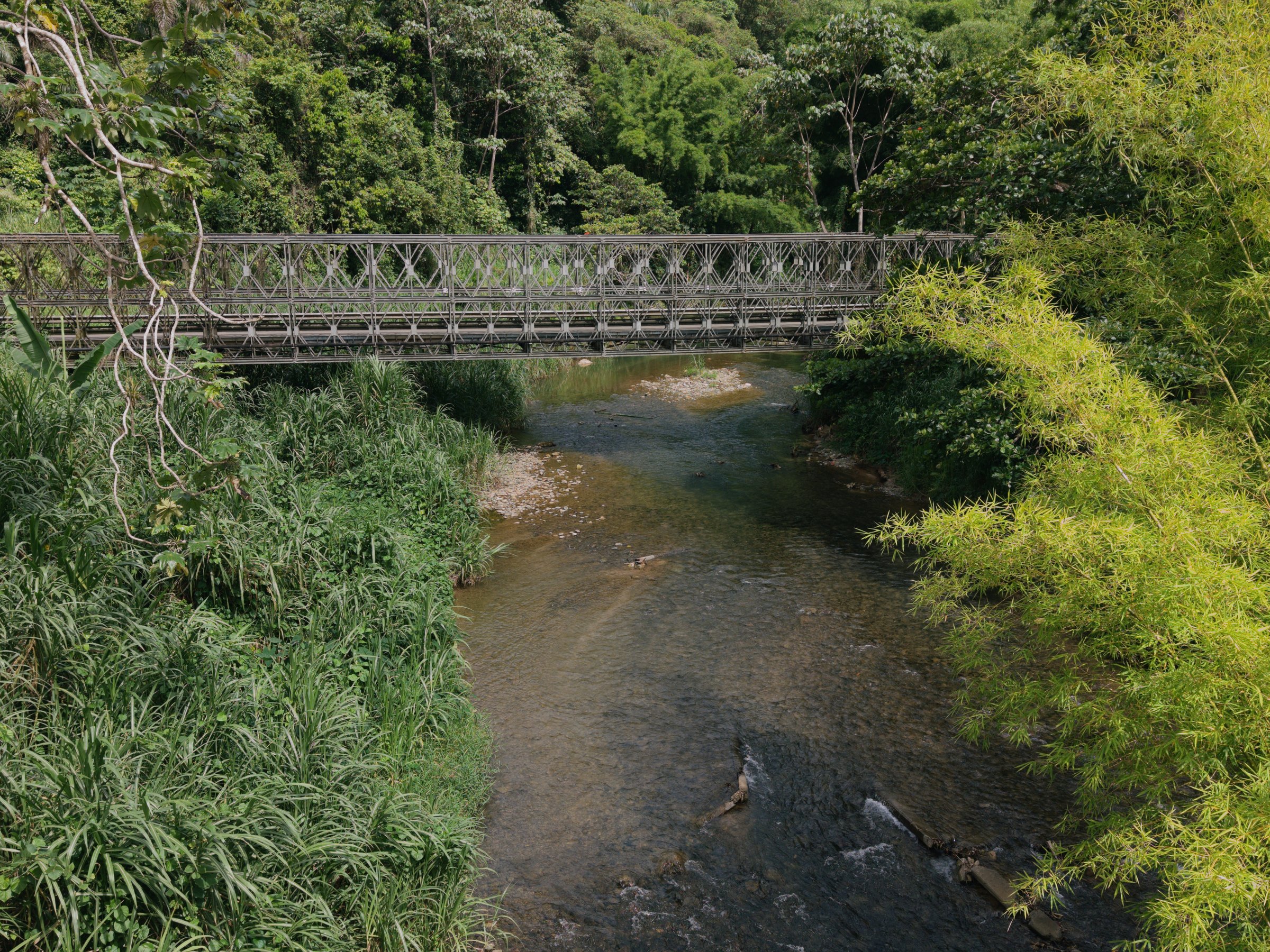 Foto con dron de un río y un viejo puente de hierro en la selva, Puerto Rico